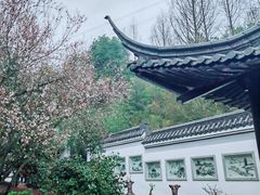 -重庆园博园