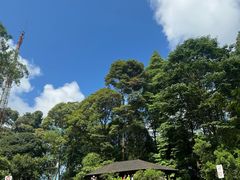 -武吉知马自然保护区