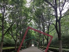-洛阳市隋唐城遗址植物园