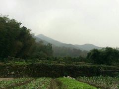 -会稽山峡洞漂流-上青古道