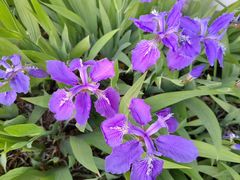 -汉长安城未央宫国家考古遗址公园