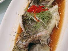 -成事园(真北店)