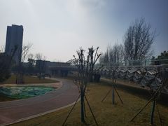 -府河摄影公园