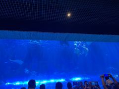 -华夏文旅海洋公园