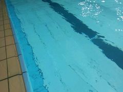 -重庆市奥林匹克体育中心-游泳跳水馆