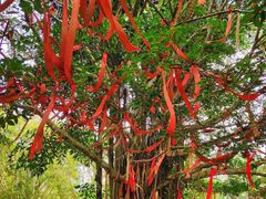 -红色娘子军纪念园