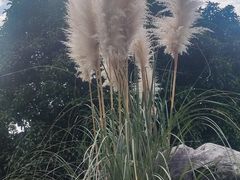 -长广溪湿地公园
