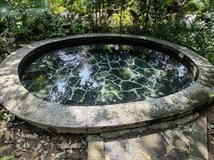 -林丰温泉度假山庄