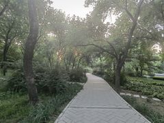 -元大都城垣遗址公园