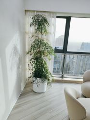 -HEYAN荷妍专业脱毛连锁机构