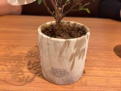-CURRY YA 熟成咖哩專門店(深圳湾万象城店)