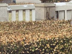 -秦皇岛阿尔卡迪亚滨海度假酒店