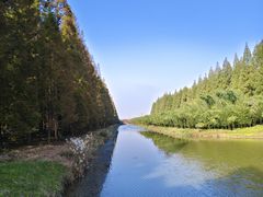 -黄海国家森林公园