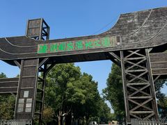 -溱湖国家湿地公园