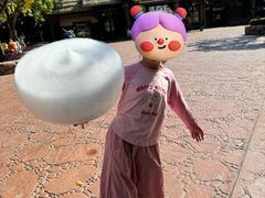 -厦门方特东方神画