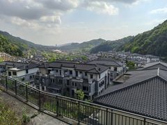 -南山植物园