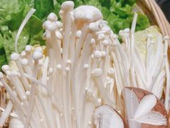 -同仁四季椰子鸡(无锡滨湖万象汇店)
