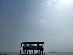 -合肥滨湖国家森林公园