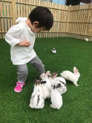 -萌宠亲子动物乐园(槐房万达店)