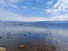 -西昌邛海湿地