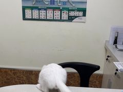 -美联众合24小时·皮肤科·外科·全科诊疗中心(华苑分院)