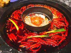 -蜀大侠火锅(建设路第五大道店)