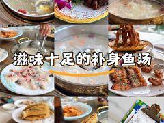 -港升鱼师傅·中山脆肉鲩