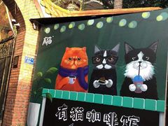 -有猫主题·治愈系猫咖(曾厝垵店)