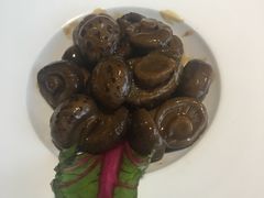 -梧桐餐厅(泉城路店)