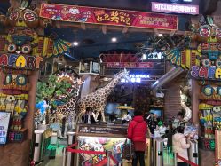 -卡通尼·Safari非洲探索乐园·生日会(金桥国际商业广场店)