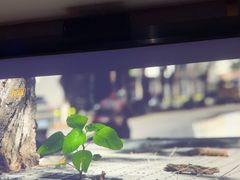 -海恒-金永足道(余杭店)