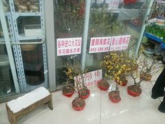android_upload_pic-无锡文化工艺品市场(槐古路店)