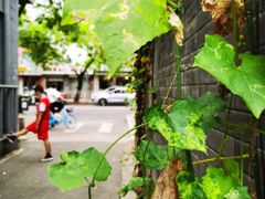 -百花深处胡同