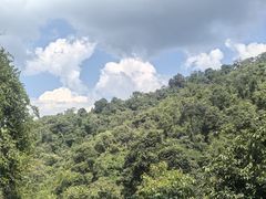 -野象谷景区