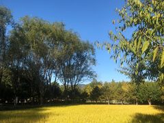 -北坞公园