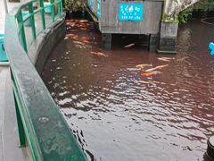 -南昌动物园