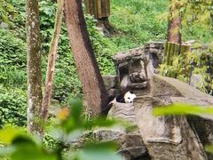 -碧峰峡风景区