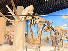 -国家自然博物馆