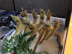 鲜活竹节虾-王家渡火锅(金宝汇店)