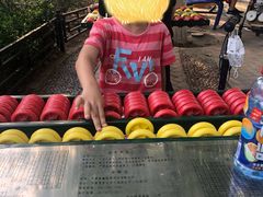 -大兴滨河森林公园