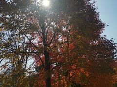 -长春世界雕塑园冰雪艺术天地