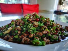 小煎鸡-y牌太安鱼