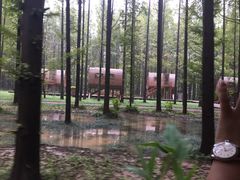 -黄海国家森林公园