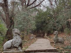-采石矶景区