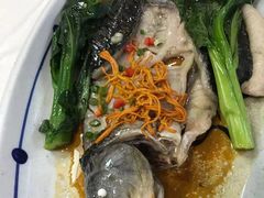-寻味顺德·南记酒家·传统顺德菜·鱼生(广源路店)