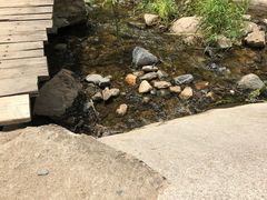 -碓臼峪自然风景区