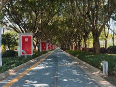-厦门白鹭洲公园