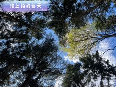 -沈阳植物园