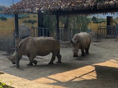 -西安秦岭野生动物园