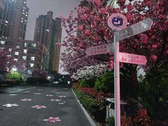 -山东外贸职业学院